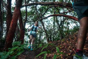 BIB: 
                            <button type="button" onclick="openModal(26345311)" class="btn btn-primary btn-sm float-right btn-popup" data-toggle="modal" data-target=".modal-high-quality">
                        <i class="fas fa-shopping-cart"></i> Add to Cart
                    </button>
                                            <button type="button" onclick="isThisMe(26345311, true)" class="btn btn-success btn-sm float-right btn-popup btn-isme hidden" data-toggle="tooltip" data-placement="bottom" title="นี่คือรูปของคุณใช่ไหม คลิกที่นี่เพื่อเอาเข้าอัลบั้ม">
                        <i class="fas fa-plus"></i> Add to album
                    </button>
                    <button type="button" onclick="isThisMe(26345311, false)" class="btn btn-warning btn-sm float-right btn-popup btn-isnotme hidden">
                        <i class="fas fa-ban"></i> Remove from album
                    </button>